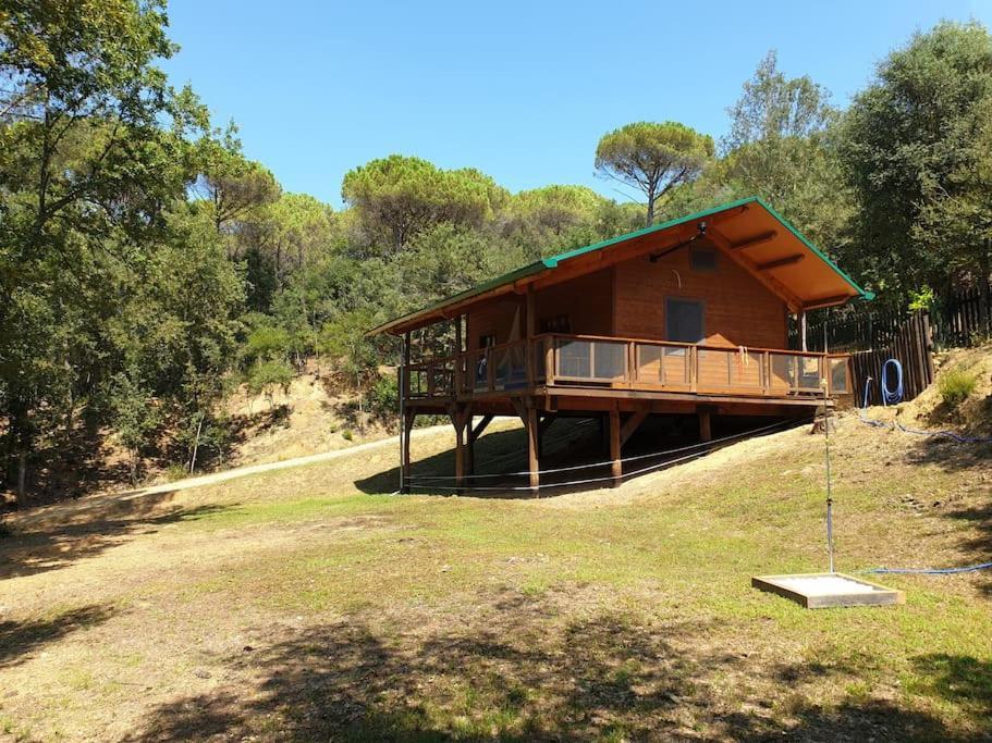 Rustic Cabin In The Woods/Cabana En El Bosque Amer Экстерьер фото